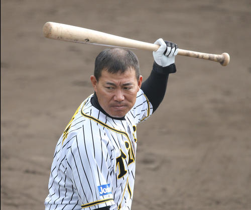 打撃練習を行う阪神福留（代表撮影）
