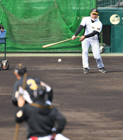 大山悠輔（手前）にノックを打つ井上一樹ヘッドコーチ（2020年11月16日撮影）