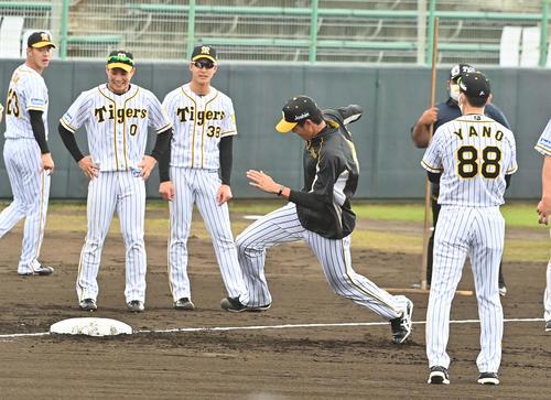 矢野燿大監督（右）が見守る中、走塁練習をする藤浪晋太郎（撮影・上田博志）