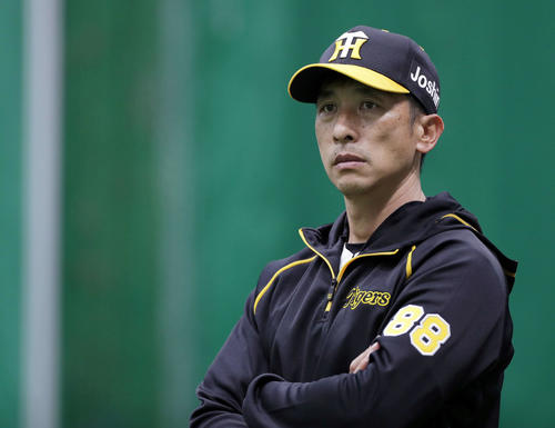 ブルペンで練習を見つめる矢野監督（撮影・前田充）