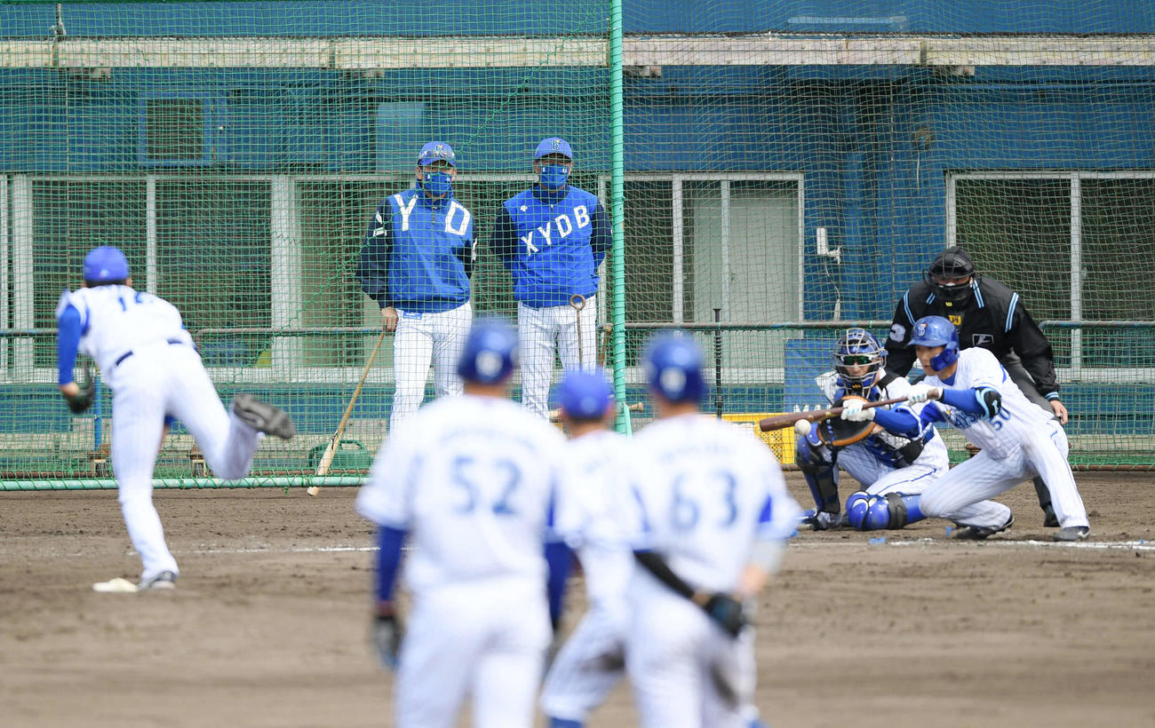 ケースバッティングを見つめるDeNA三浦監督（後方左）（撮影・横山健太）