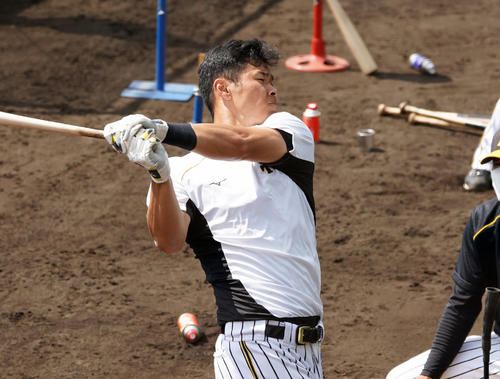 ティー打撃を行う佐藤輝明（2021年2月26日撮影）