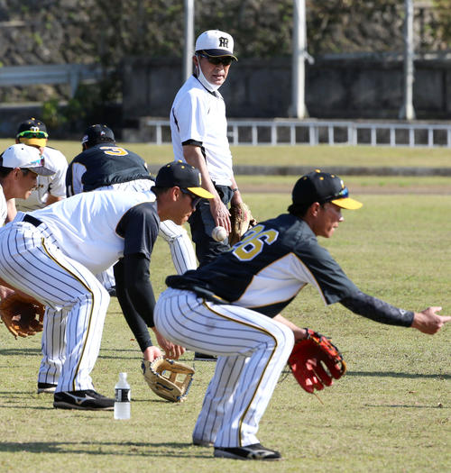 阪神川相臨時コーチ（上）はゴロ捕球する佐藤輝（左）ら内野陣を見つめる（2021年2月22日撮影）