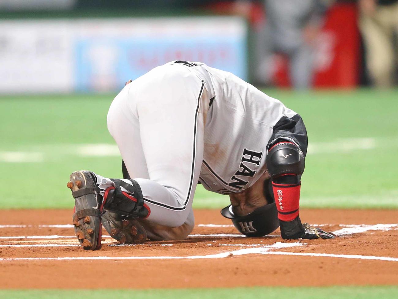 右膝に死球を受けて痛みをこらえる緒方（2016年3月3日撮影）