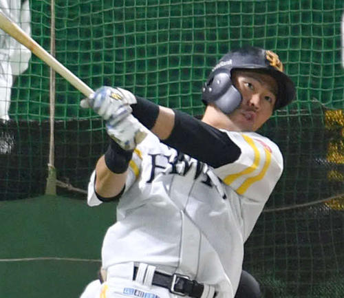 フリー打撃を行う中村晃（撮影・岩下翔太）