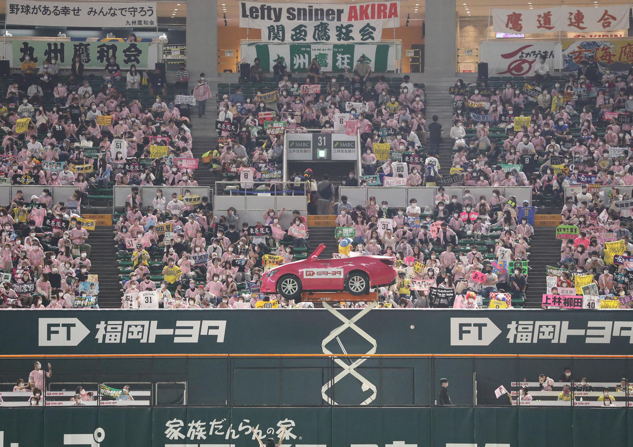 ソフトバンク対西武　タカガールデーでピンクに染まるスタンド（撮影・屋方直哉）