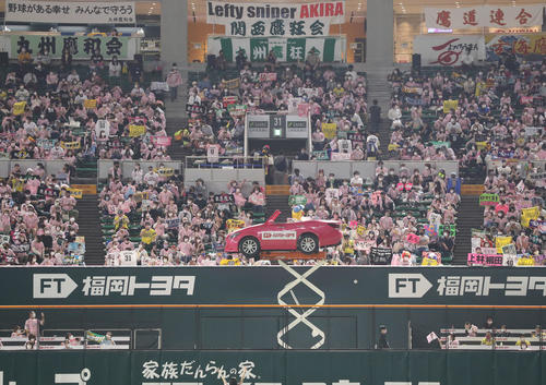 ソフトバンク対西武 タカガールデーでピンクに染まるスタンド(撮影・屋方直哉)