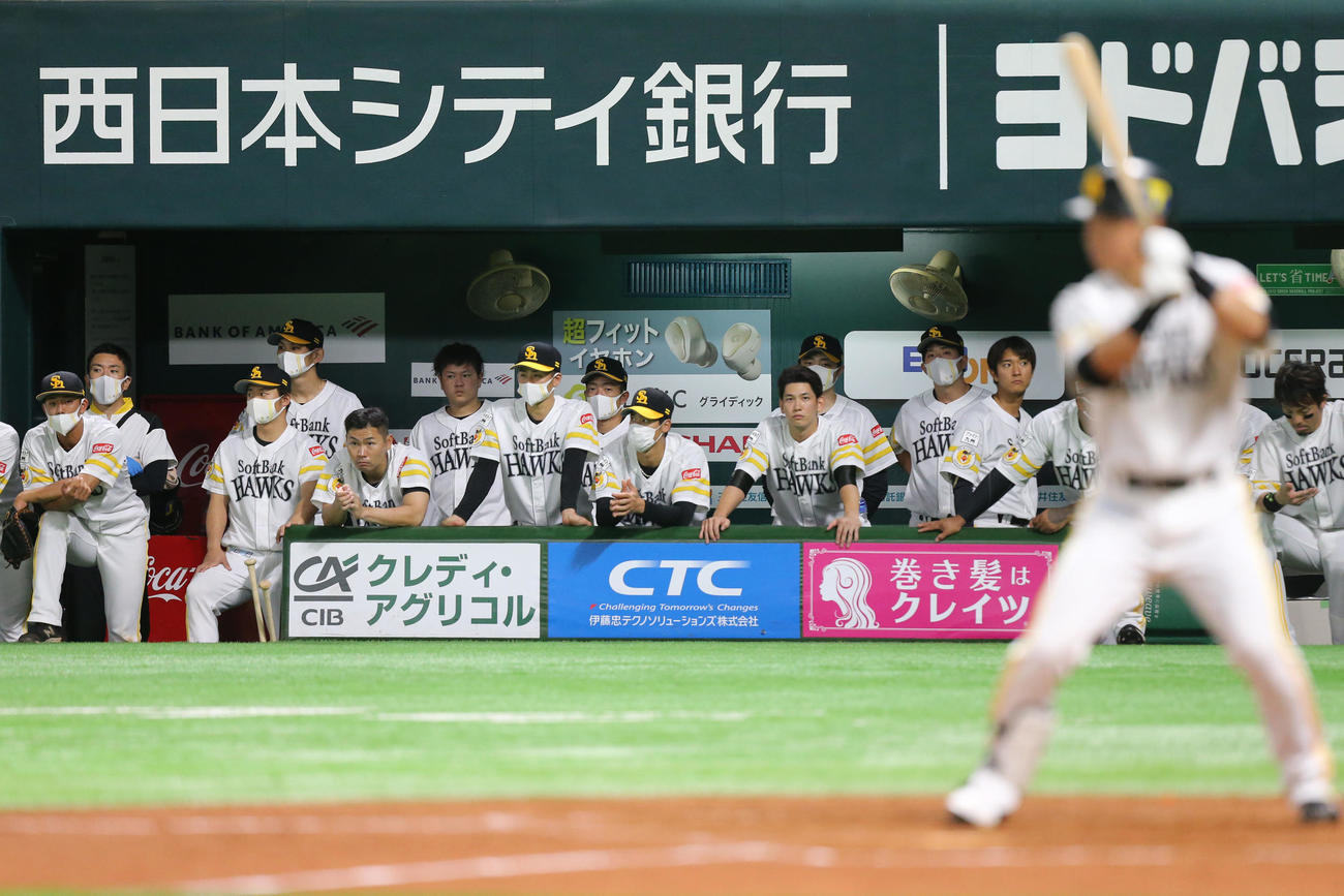 9回裏ソフトバンク2死一、二塁、試合を見つめるソフトバンクナイン（撮影・屋方直哉）