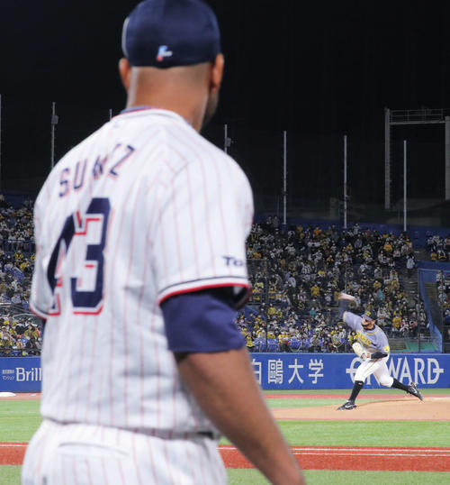 2021年10月9日　ヤクルト対阪神　8回裏、力投する弟のロベルト・スアレスを見つめる兄のアルバート・スアレス（撮影・河田真司）