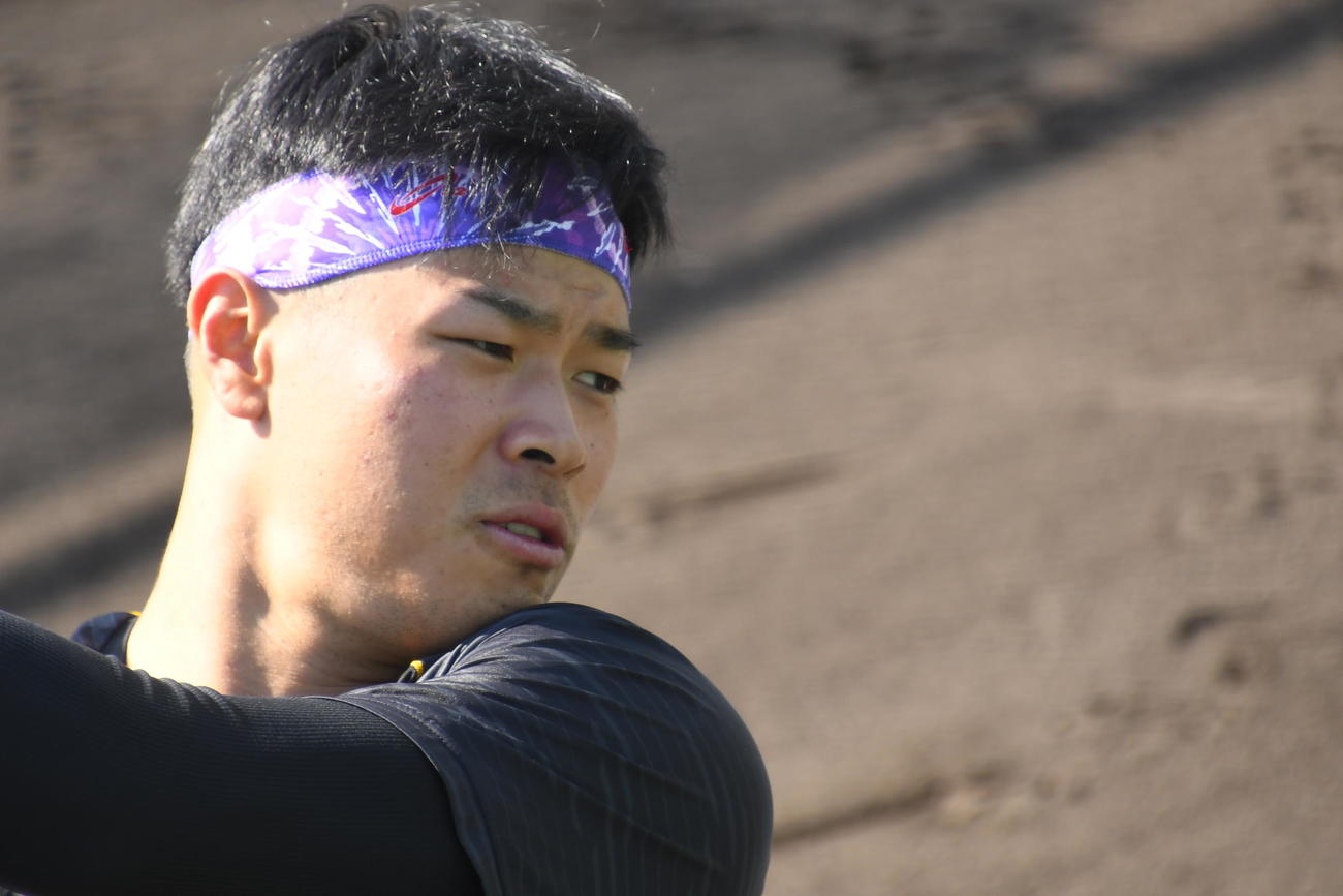 紫のヘアバンドを着けて打撃練習を行う阪神佐藤輝（撮影・中野椋）