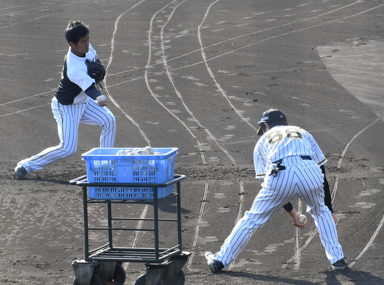 安藤2軍投手コーチ（手前）にゴロを投げてもらい、腰を落として捕球しネットスローする阪神望月（2021年11月15日撮影）