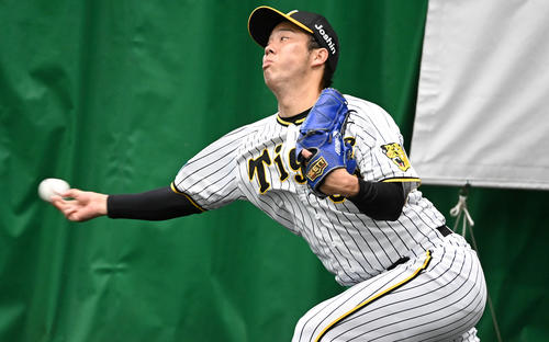 ブルペンで投球練習を行う青柳（撮影・前岡正明）