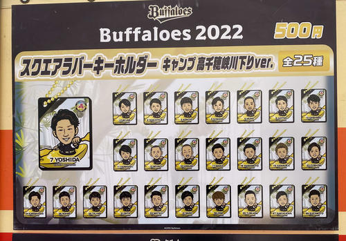 オリックスのラオウこと杉本裕太郎外野手らのイラストが描かれているガチャガチャキーホルダーの全25種類（撮影＝真柴健）