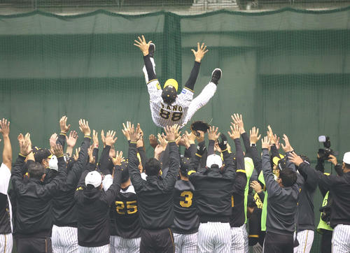 1日主将の糸井と西勇の提案でナインに胴上げされる矢野監督（撮影・上田博志）