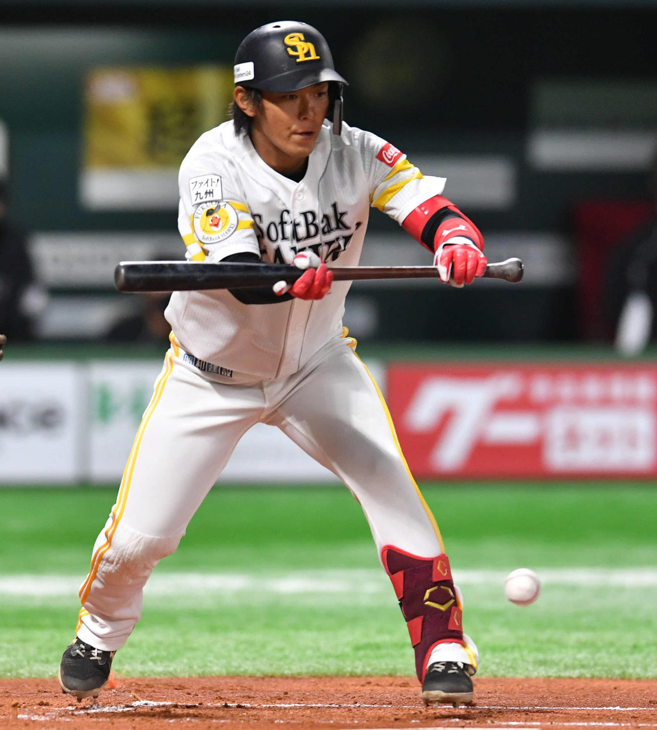 1回裏ソフトバンク無死一塁、今宮は捕前犠打を成功させる（撮影・岩下翔太）