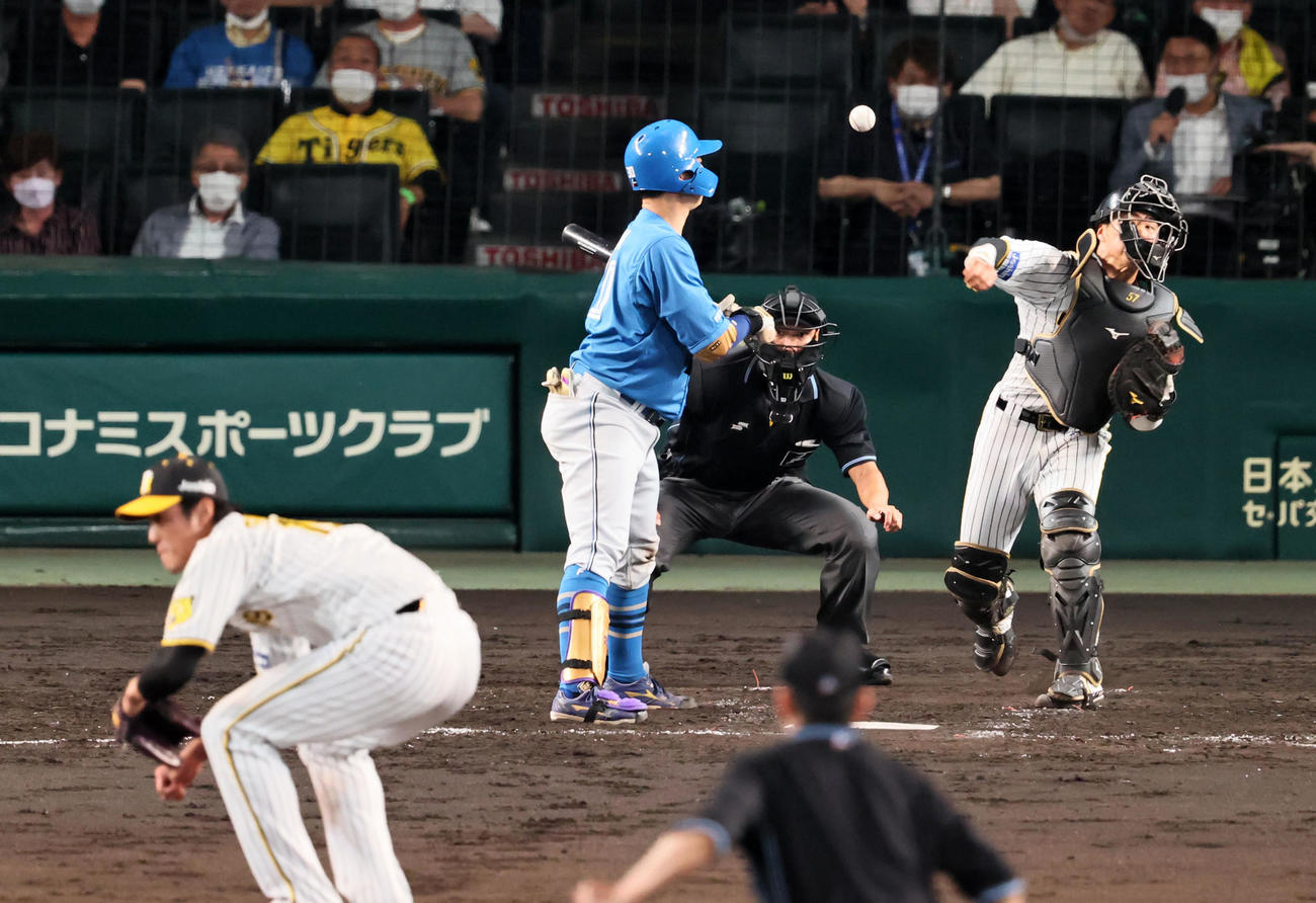 阪神対日本ハム　5回表日本ハム2死一塁、長坂は打者宇佐見のとき一塁走者上川畑の二塁盗塁を刺す。投手は藤浪（撮影・加藤哉）
