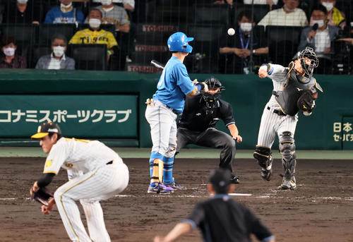 阪神対日本ハム　5回表日本ハム2死一塁、長坂は打者宇佐見のとき一塁走者上川畑の二塁盗塁を刺す。投手は藤浪（撮影・加藤哉）