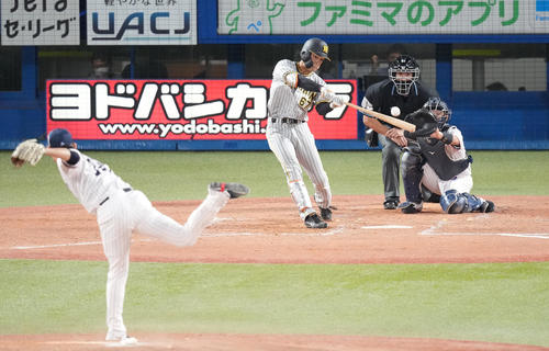 ヤクルト対阪神　4回表阪神1死満塁、中犠飛を放つ高寺。投手高梨（2022年9月27日撮影）