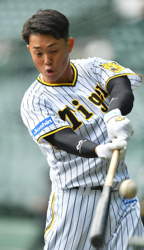 トス打撃を行う阪神高浜（2022年10月24日撮影）