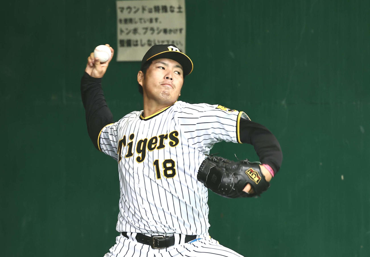 ブルペンで投げ込む馬場皐輔（2022年11月13日撮影）