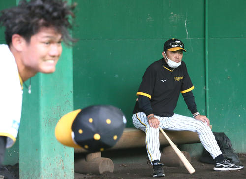 ブルペンで投げ込む西純矢（左）を見つめる岡田監督（2022年11月7日撮影）