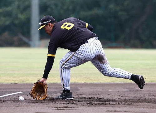 19日、ノックを受ける佐藤輝明