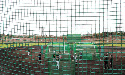 2023年2月2日、具志川野球場で打撃練習を行ったドラフト1位の森下翔太