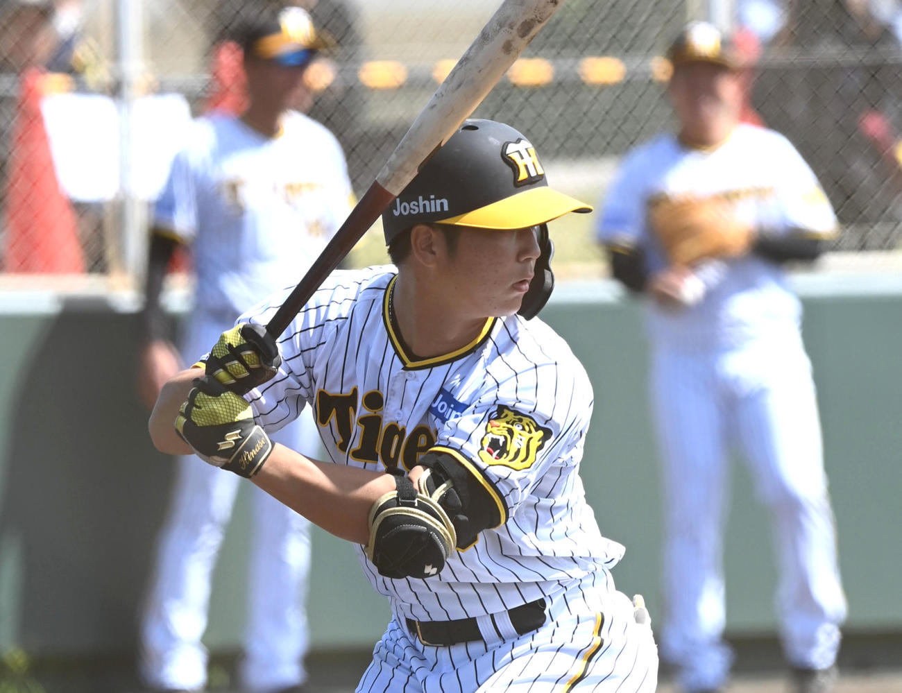 阪神井坪陽生（2023年2月撮影）
