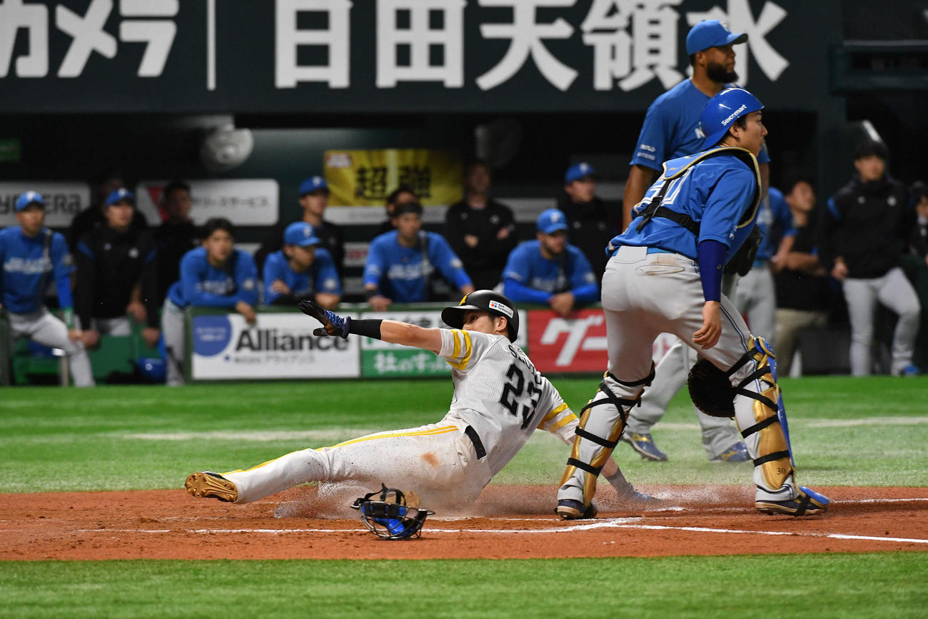ソフトバンク対日本ハム　10回裏ソフトバンク無死満塁、栗原の左犠飛でサヨナラのホームを踏む周東（撮影・岩下翔太）