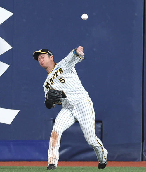 阪神近本光司（2023年4月撮影）