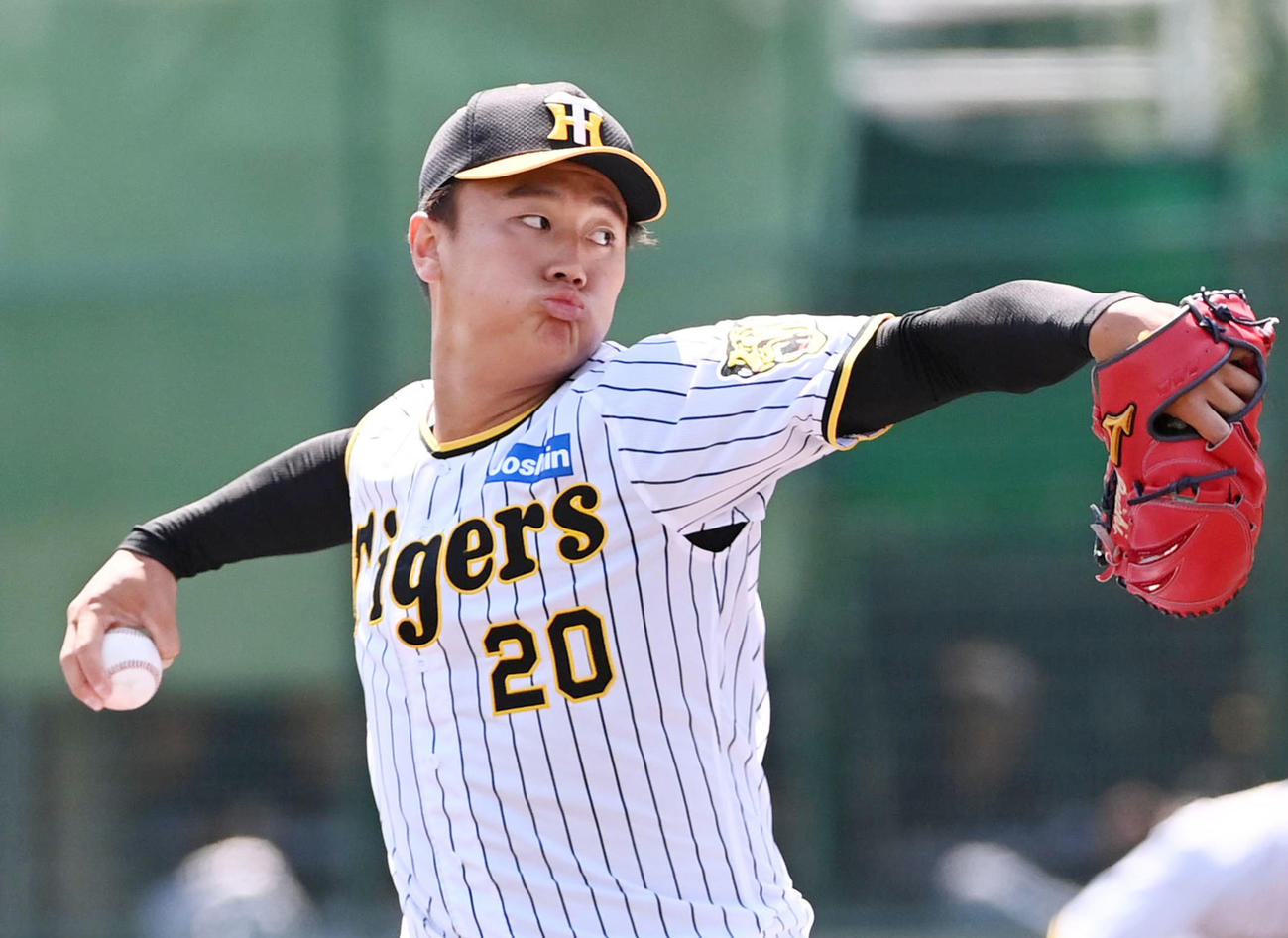 阪神森木大智（2023年5月撮影）