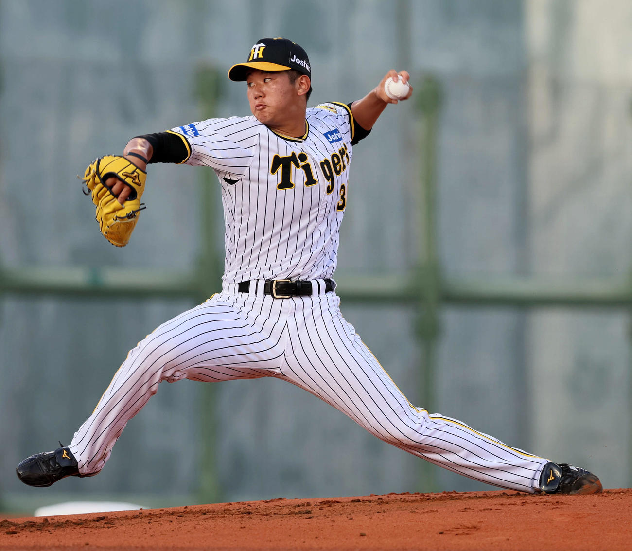 阪神門別啓人（2023年7月撮影）