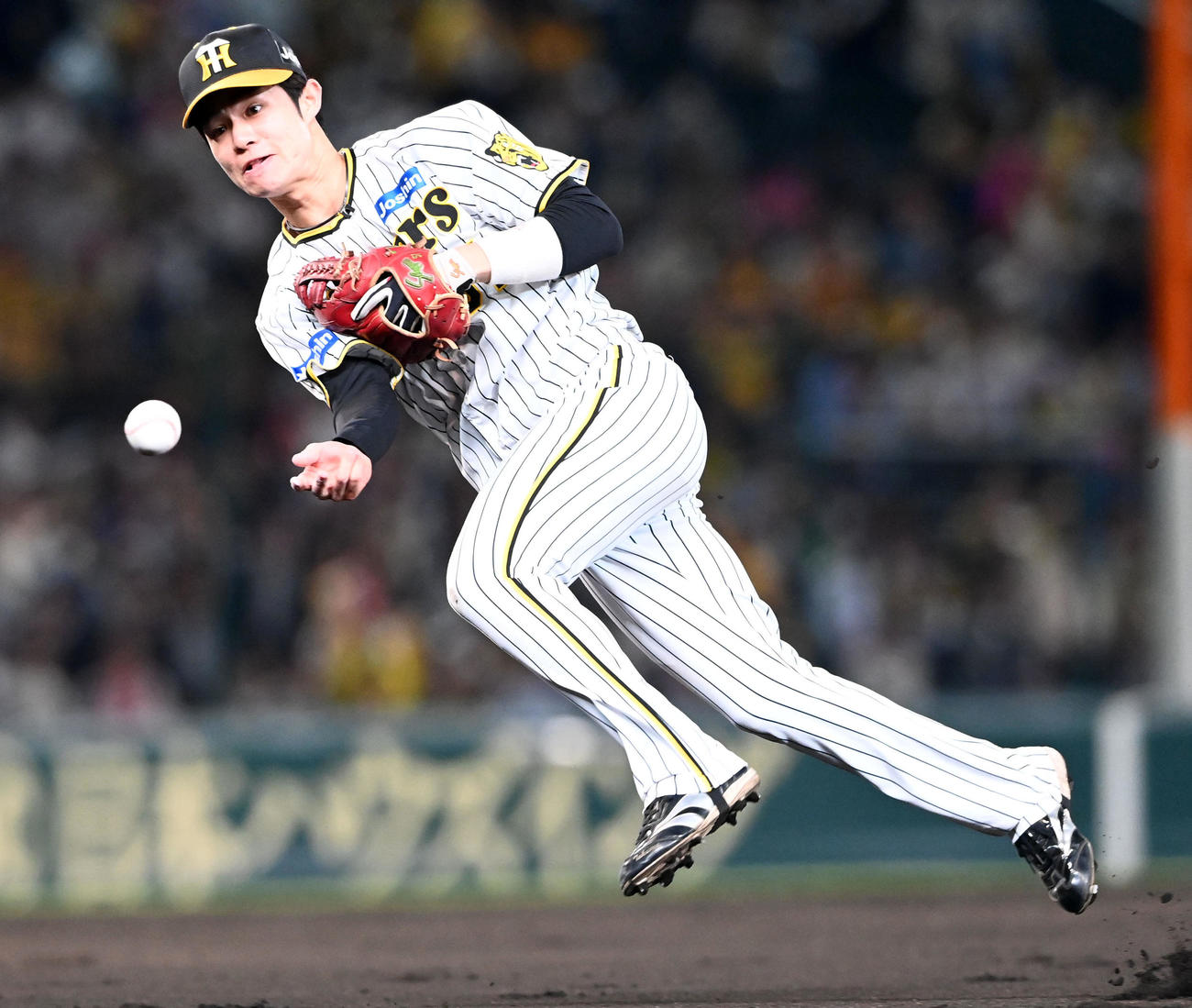 阪神中野拓夢