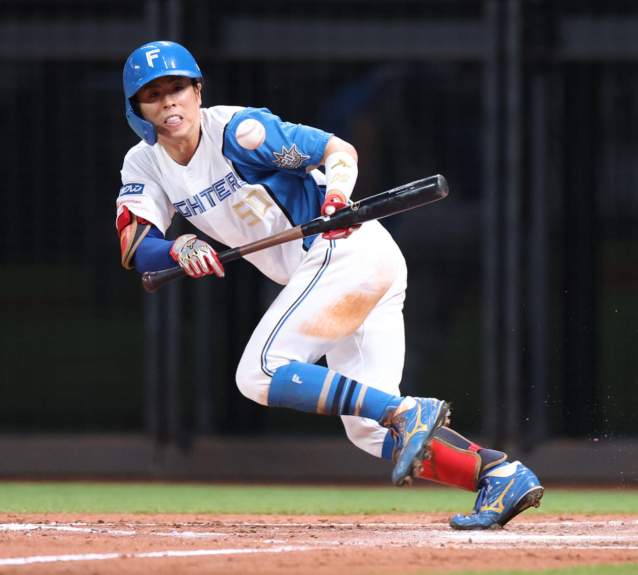 日本ハム対西武　5回裏日本ハム無死一、二塁、五十幡はセーフティバントを決める（2023年8月10日撮影）