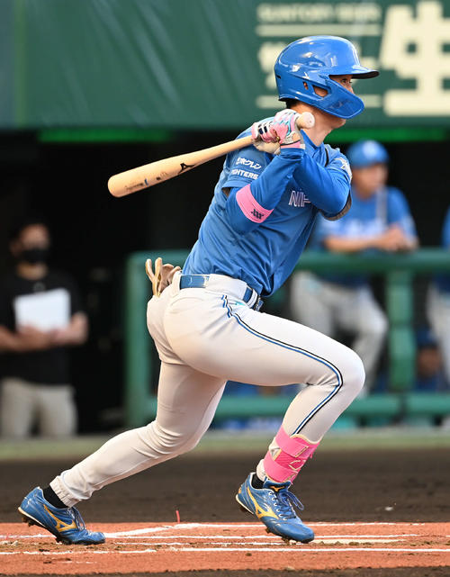日本ハム加藤豪将（2023年6月28日撮影）