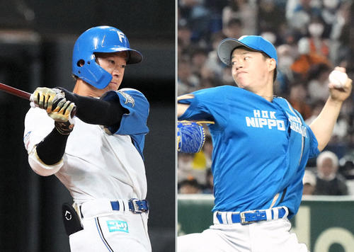 日本ハム矢沢宏太