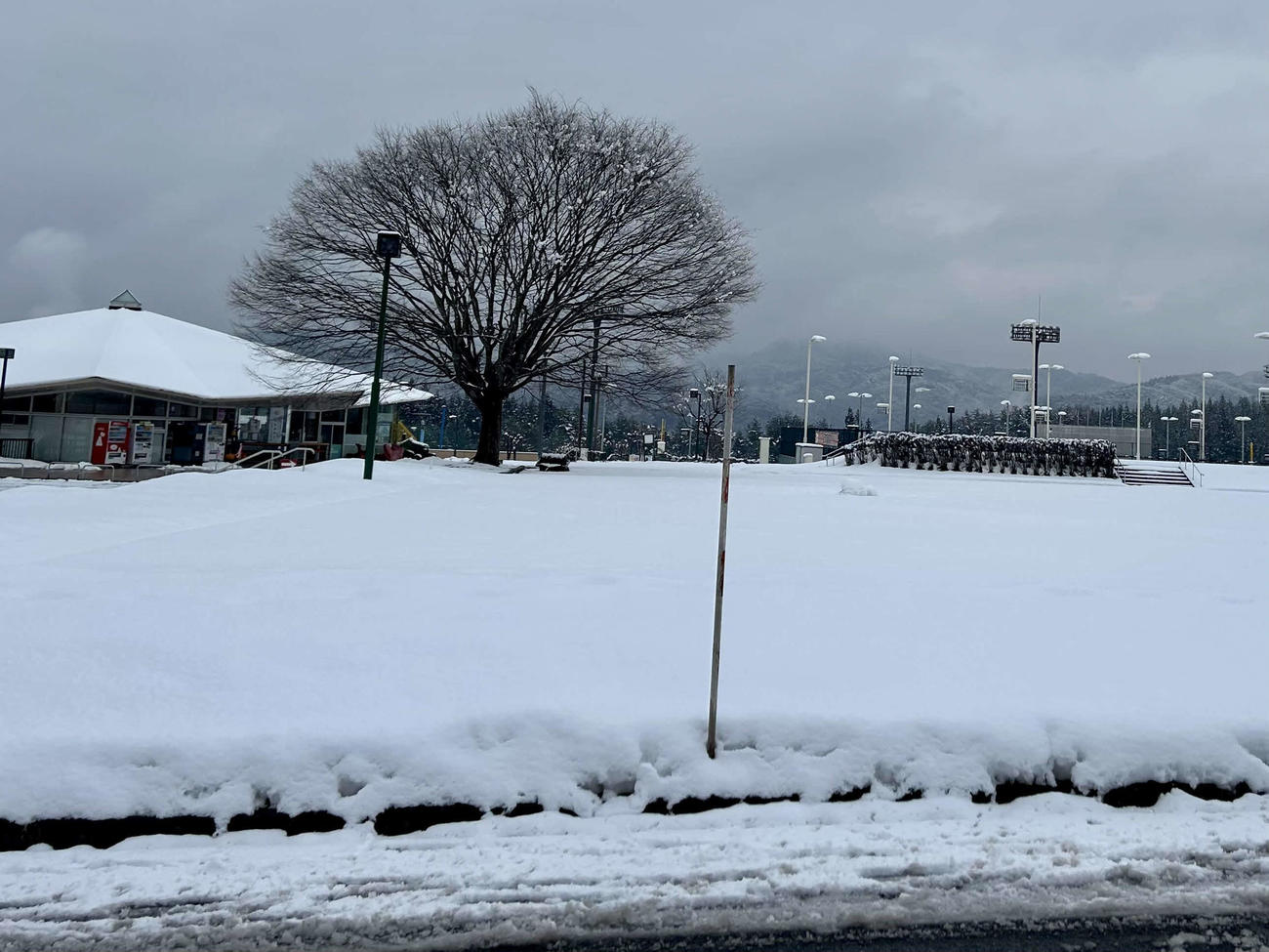 雪が積もる一戸町総合運動公園（撮影・黒須亮）