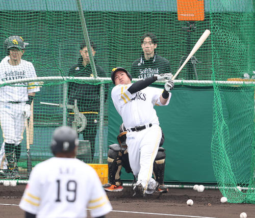 フリー打撃で快音を響かせる山川（撮影・梅根麻紀）