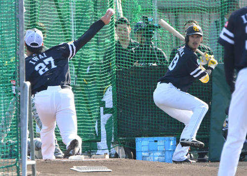 打撃投手で三森を相手に投球するソフトバンク岩井（撮影・岩下翔太）