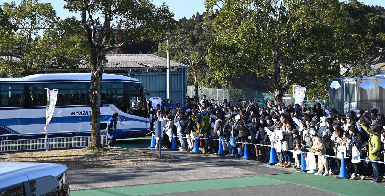 10日、宮崎キャンプに押し寄せたオリックスファン
