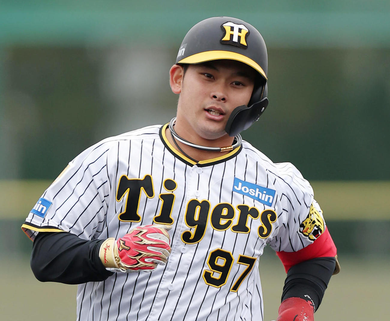 阪神野口恭佑（2024年3月6日撮影）