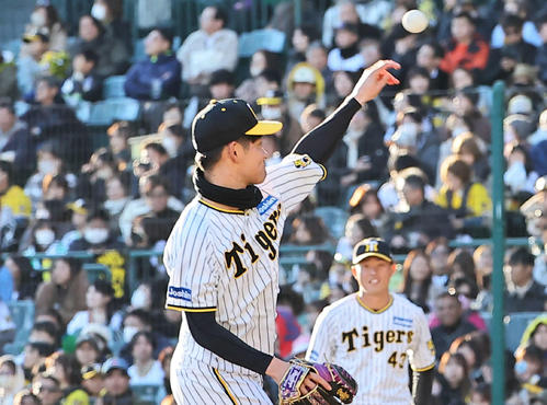 23年、阪神ファン感謝デーのシチュエーションマッチで登板した伊藤稜（撮影・加藤哉）