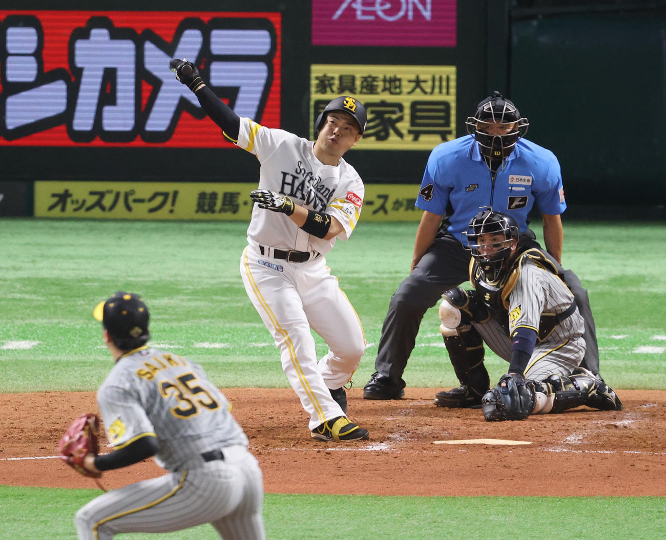ソフトバンク近藤健介（2024年6月16日撮影）