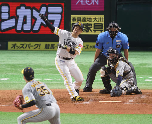 ソフトバンク近藤健介（2024年6月16日撮影）