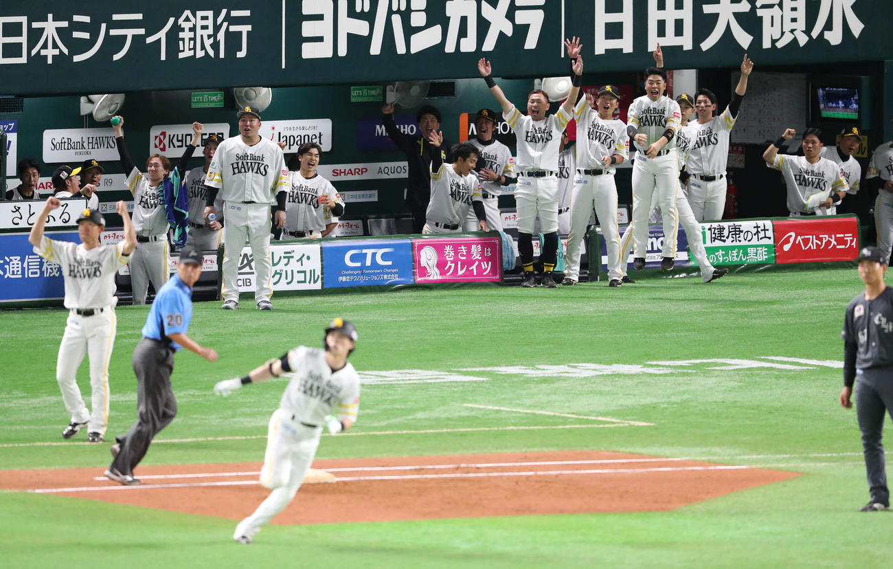 ソフトバンク対ロッテ　8回裏ソフトバンク2死、周東の勝ち越し本塁打で一気に盛り上がるベンチのナイン（撮影・梅根麻紀）
