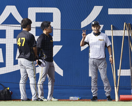桐敷（左）、石井と話をする阪神岡田監督（右）（2024年8月28日撮影）