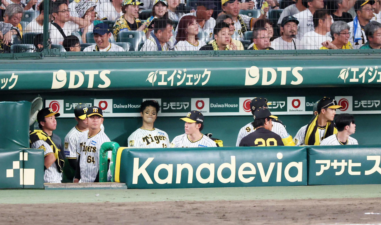 DeNAに敗れ試合後のベンチで唇をかみしめる坂本ら阪神ナイン（2024年10月13日）