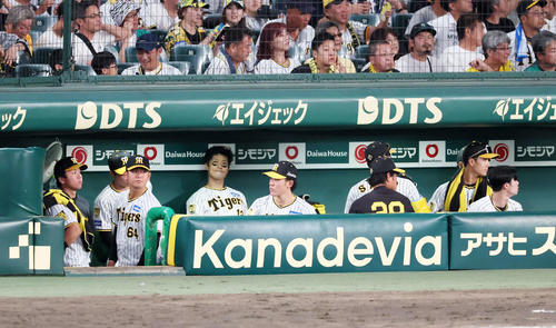 DeNAに敗れ試合後のベンチで唇をかみしめる坂本ら阪神ナイン（2024年10月13日）