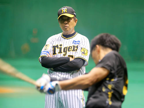 28日、宮崎アイビースタジアムの室内で阪神平田2軍監督は百崎（手前）の打撃を見る