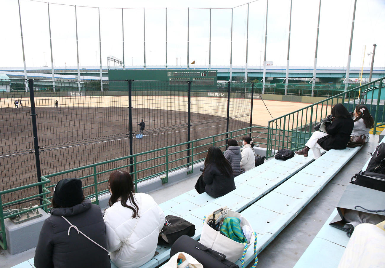 1月30日、鳴尾浜球場の自主トレを見守る阪神ファン